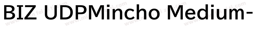 BIZ UDPMincho Medium字体转换